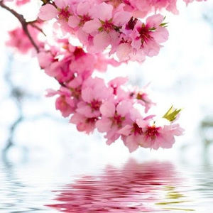 Meet your Posher, Lydia